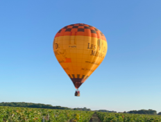 Les Montgolfières du Médoc